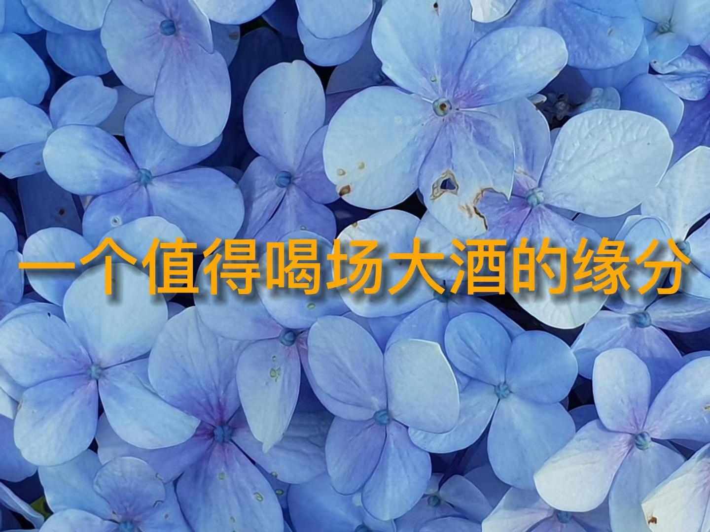 һ��ֵ�úȳ���Ƶ�Ե��