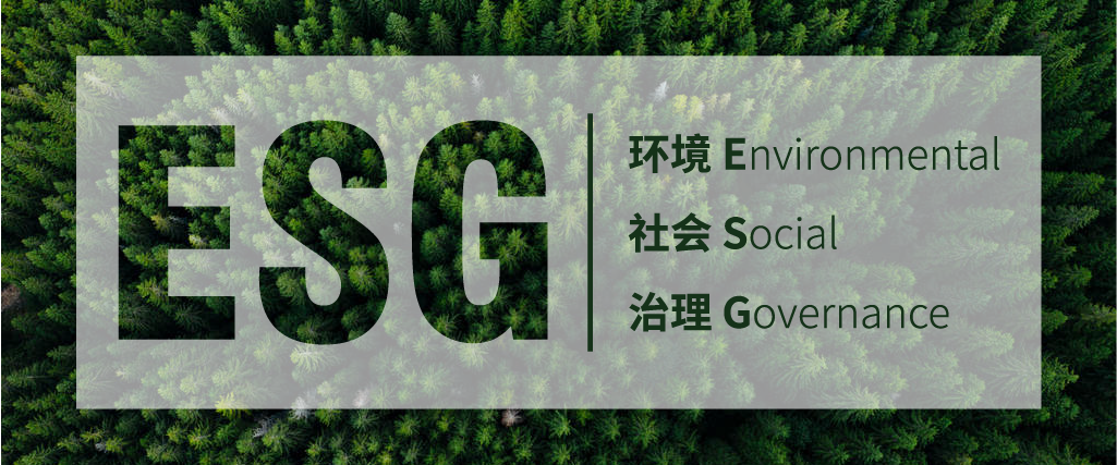 һ�����黳��������˾